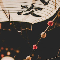 نواف اليحيا